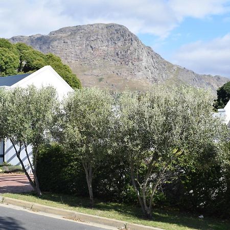 Protea Studio Franschhoek Central 外观 照片